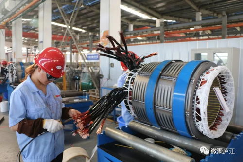 七年化繭成蝶 廬江企業(yè)以技術(shù)創(chuàng)新開拓國際市場